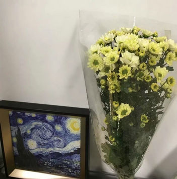 星光下的灵魂_20180129120231_副本.jpg